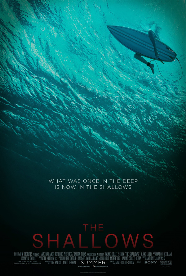 THE SHALLOWS - VJ JUNIOR